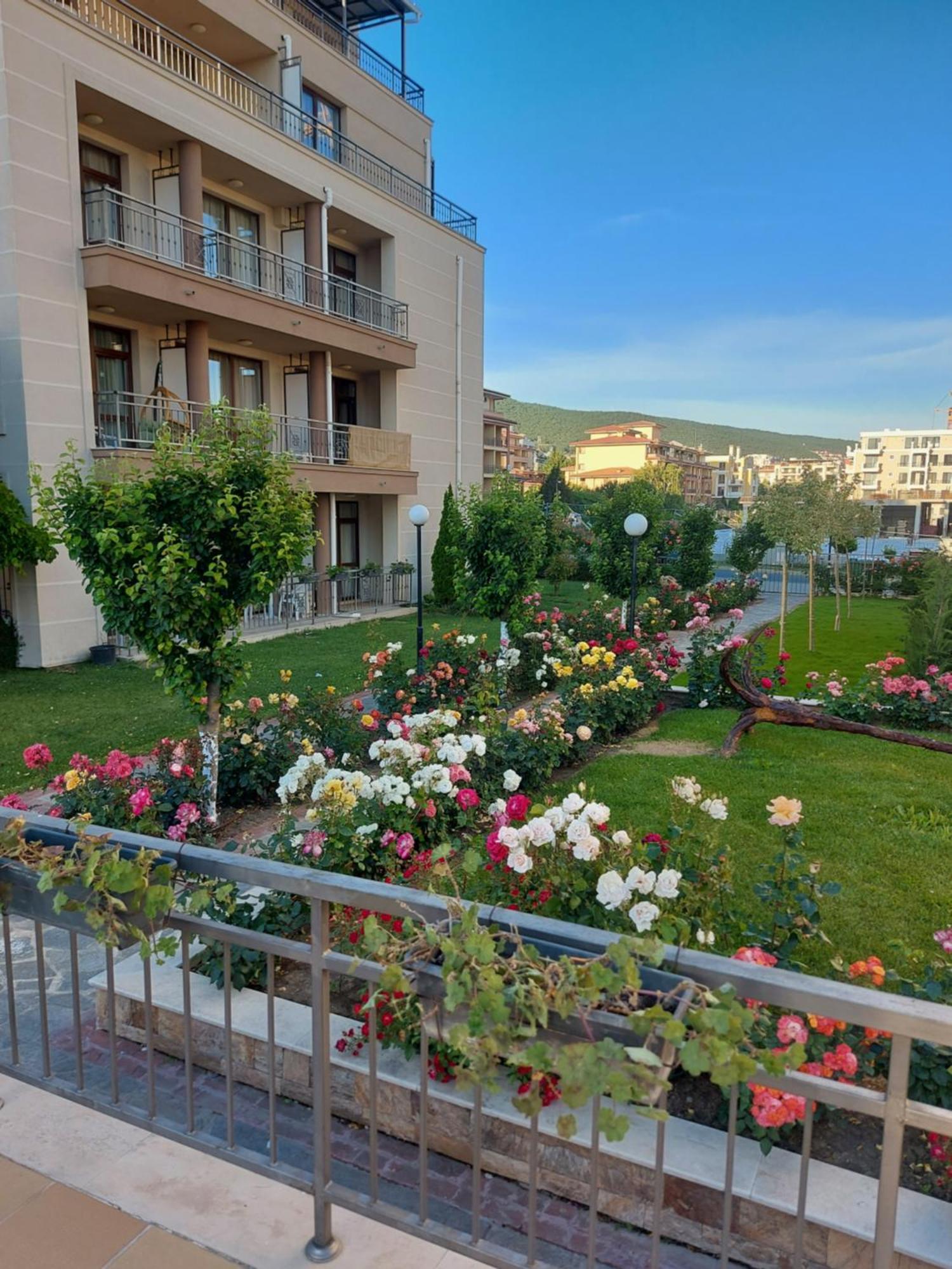 Charming Studio In Sorrento Sole Mare Sweti Wlas Exterior foto